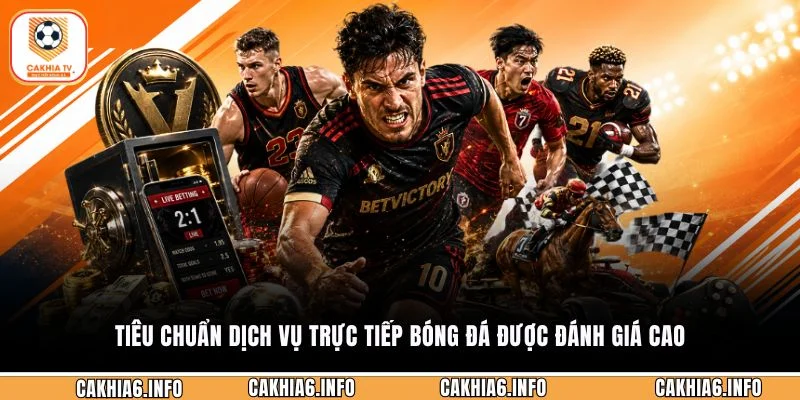 Tiêu chuẩn dịch vụ trực tiếp bóng đá được đánh giá cao