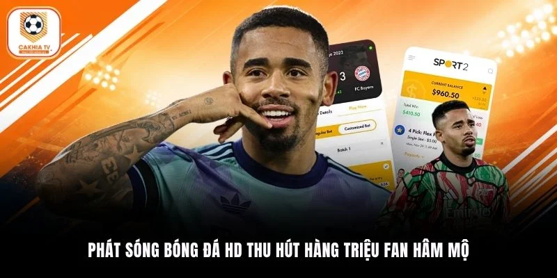Phát sóng bóng đá HD thu hút hàng triệu fan hâm mộ